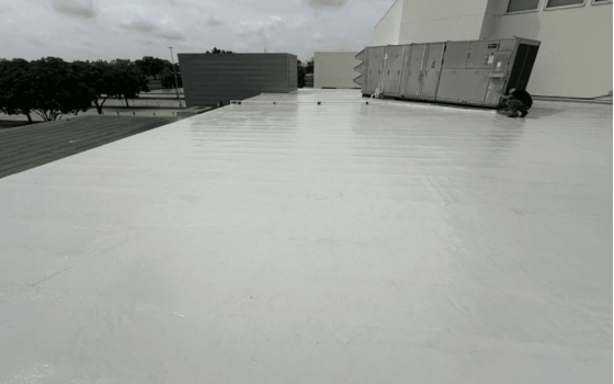 new roof