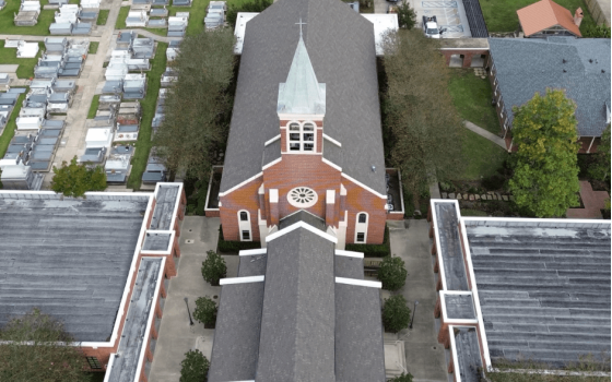 new shingle roof