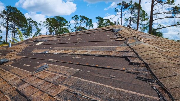 a roof of a house with trees in the background