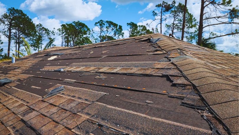 a roof of a house with trees in the background