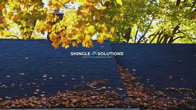 Leaves on a shingle roof