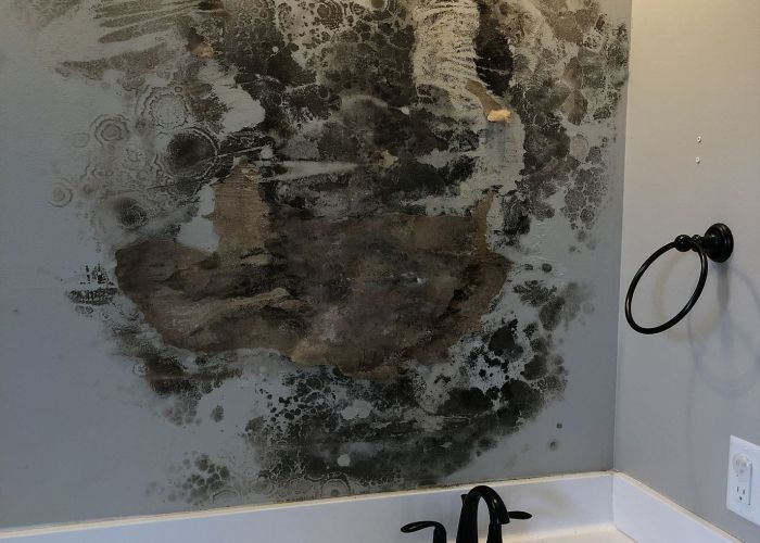 Mold Remediation Lafayette LA