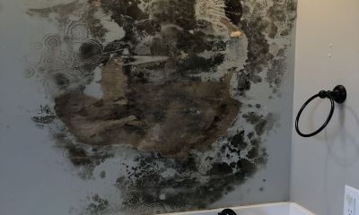 cleaning & Sanitation